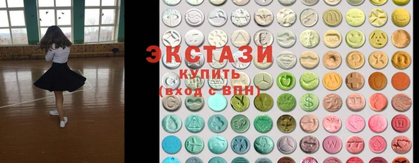 индика Сатка