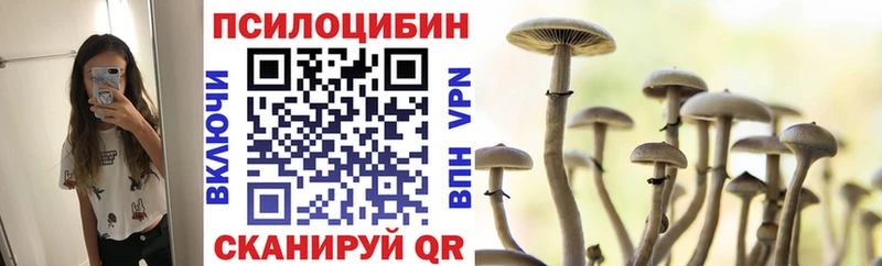 Галлюциногенные грибы Psilocybe  сколько стоит  Богородск 